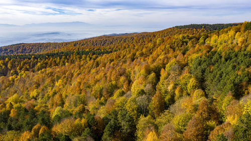 Scenic view of landscape against sky during autumn