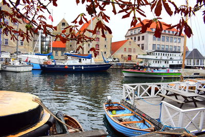 Boats moored at harbor