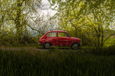 Vintage car on field