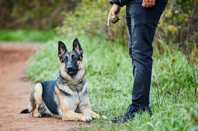 Low section of man with dog