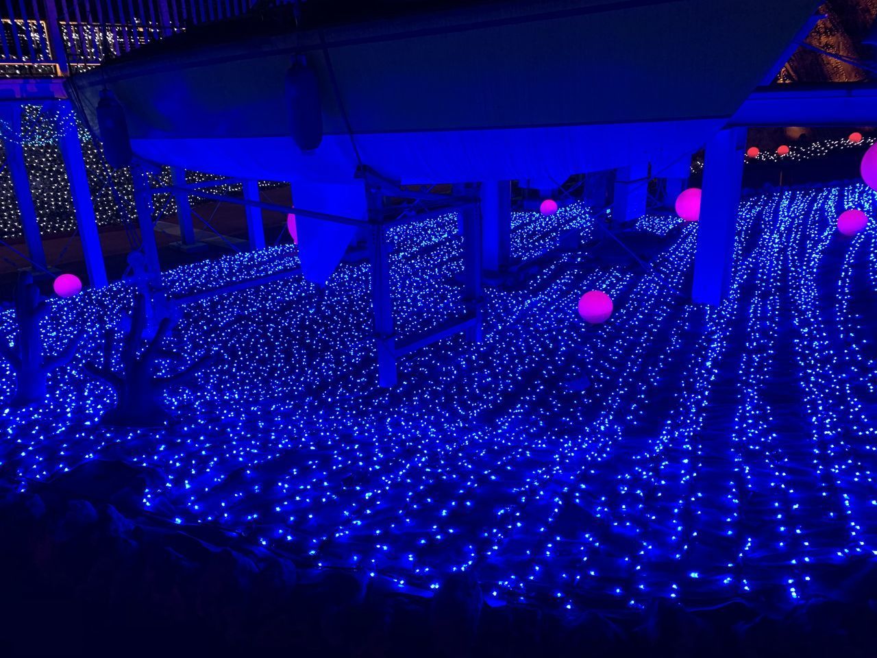 HIGH ANGLE VIEW OF ILLUMINATED PEOPLE AT CONCERT