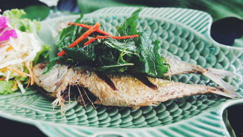 High angle view of food served in plate