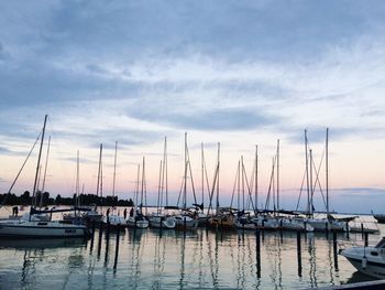 Sailboats moored in harbor at sunset