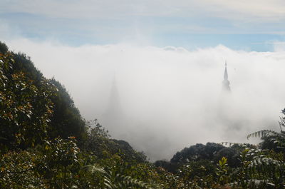 View of trees against cloudy sky