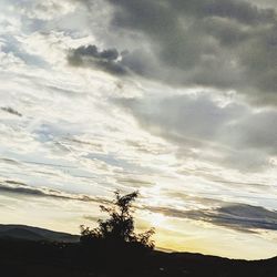 Low angle view of silhouette trees against sky during sunset