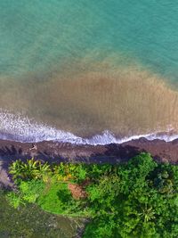 High angle view of sea shore