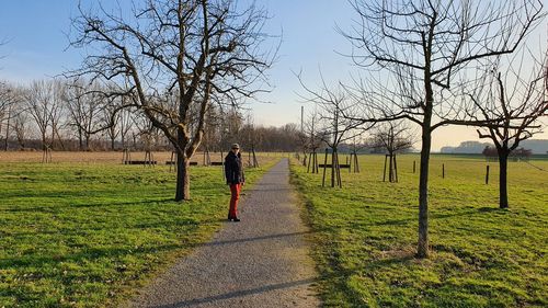 Man walking on field by bare trees against sky