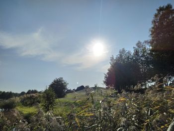 Scenic view of trees against sky