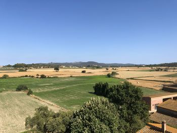 Scenic view of agricultural field against clear blue sky