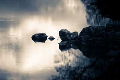 Shadow of a young man in lake