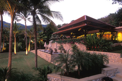 Palm trees by swimming pool against building