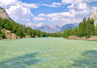 Scenic view of lake by trees against sky