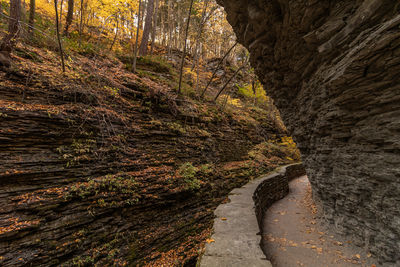 A stone wall and footpath wraps around a sculpted rocky gorge in the autumn