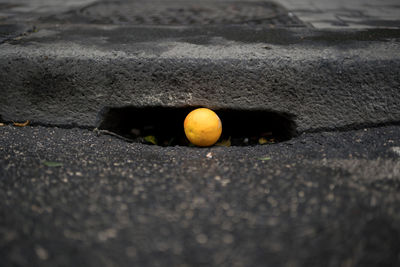 Close-up of orange fruit on street