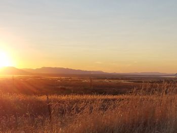 Scenic view of field against sky during sunset