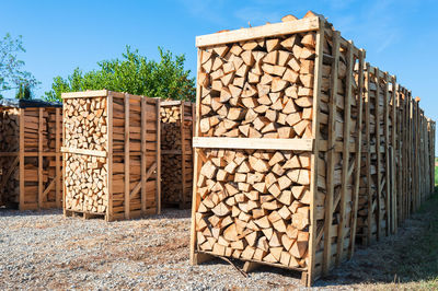 Stack of logs against trees