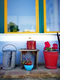 Close-up of potted plant against window