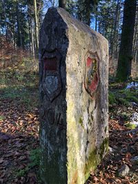 Graffiti on tree trunk in forest