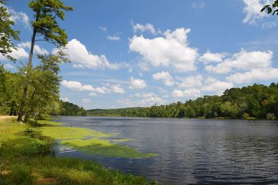 Scenic view of lake and forest