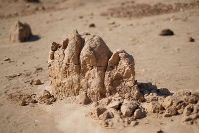 High angle view of rock formation at beach