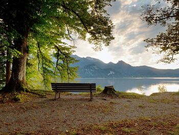 Empty wooden bench at mountain lake. bank under beeches tree, mountains at horizon.