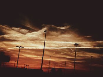 Silhouette of trees at sunset