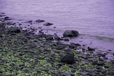 Rocks in water