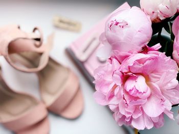 Close-up of hand holding pink flower