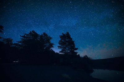 Low angle view of silhouette trees against sky at night