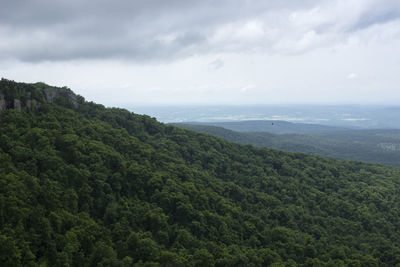 Scenic view of green landscape and sea against sky