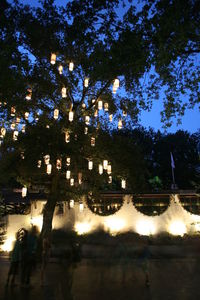 Illuminated trees against sky at night