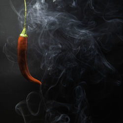 Close-up of orange hanging over black background