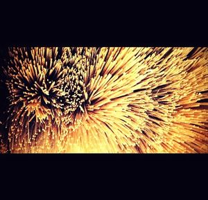 Close-up of dandelion