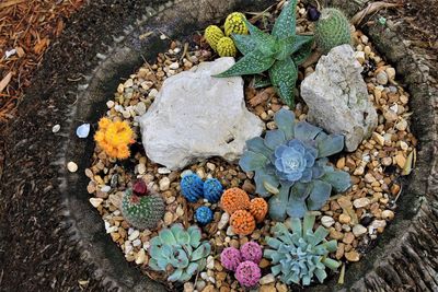 High angle view of multi colored stones on rock