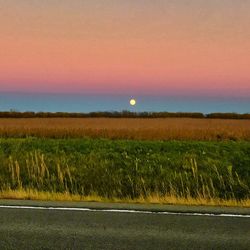 Scenic view of field against sky during sunset