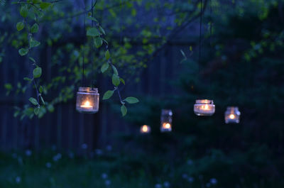 Garden lanterns made from glass jars hang on tree limb