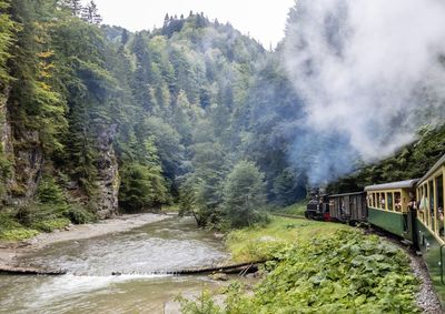 High angle view of road amidst trees in forest