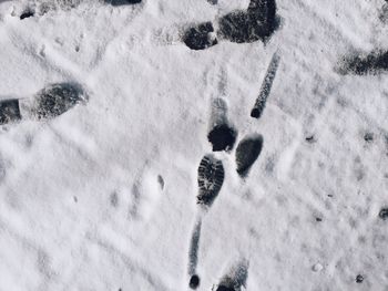 High angle view of snow