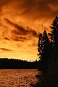 Scenic view of dramatic sky over silhouette trees during sunset