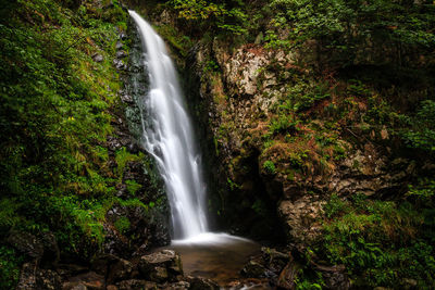 Scenic view of waterfall in forest