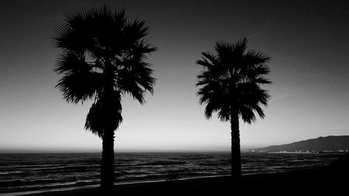 Silhouette palm trees on beach against clear sky