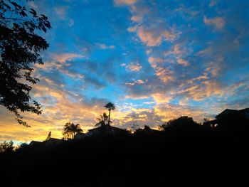 Silhouette of trees at sunset