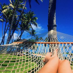 Low section of man relaxing on hammock