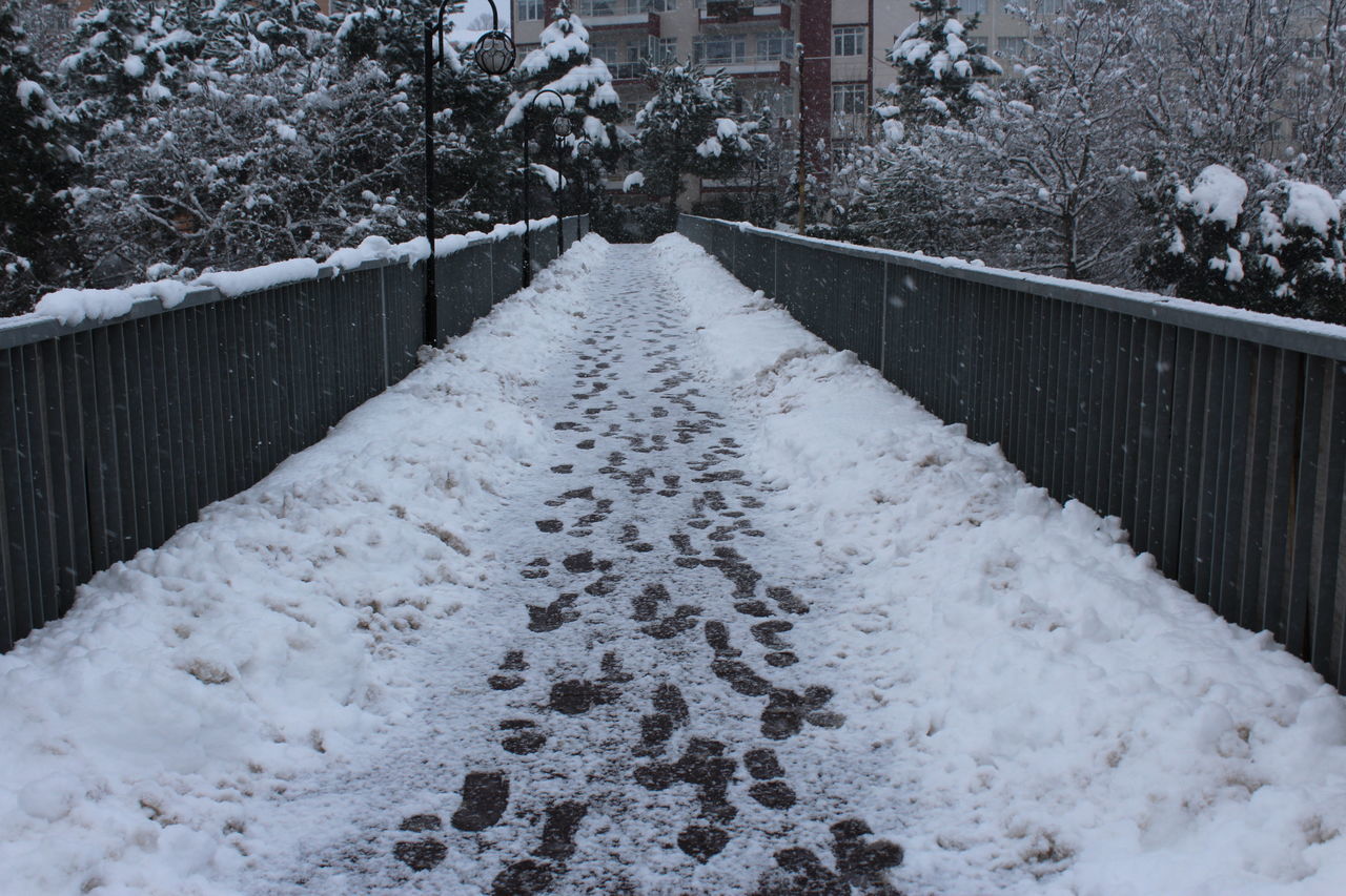 snow, winter, cold temperature, season, the way forward, covering, diminishing perspective, frozen, railing, weather, tree, built structure, white color, nature, covered, architecture, outdoors, day, water, vanishing point