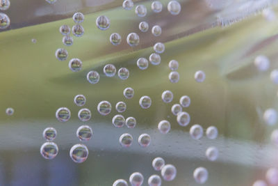 Close-up of wet bubbles