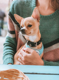 Midsection of man with dog