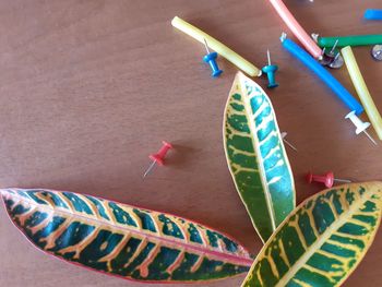 High angle view of multi colored pencils on table