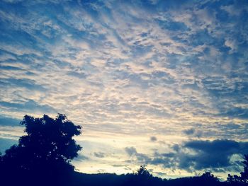 Low angle view of trees against cloudy sky