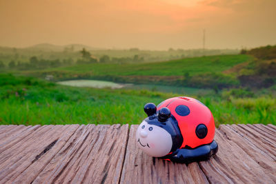 Toy car on field during sunset