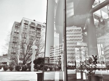 Modern glass buildings in city